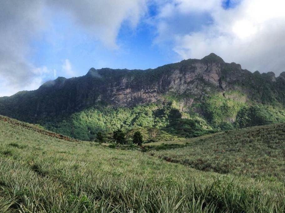 Fare Haurevaiti Moorea Paopao Buitenkant foto