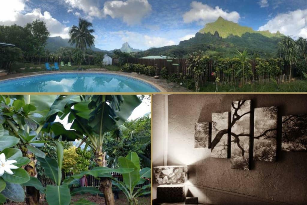 Fare Haurevaiti Moorea Paopao Buitenkant foto