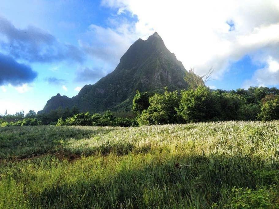 Fare Haurevaiti Moorea Paopao Buitenkant foto