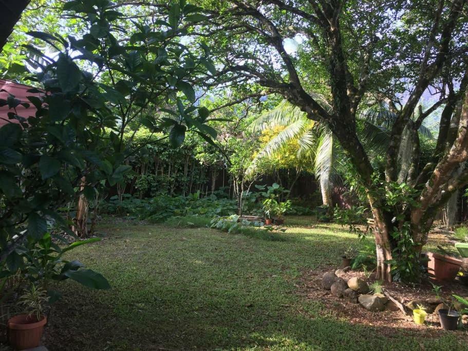 Fare Haurevaiti Moorea Paopao Buitenkant foto